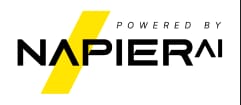 Napier AI Logo